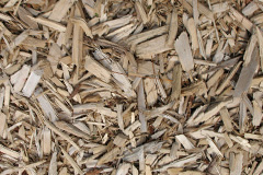 biomass boilers Melin Y Coed